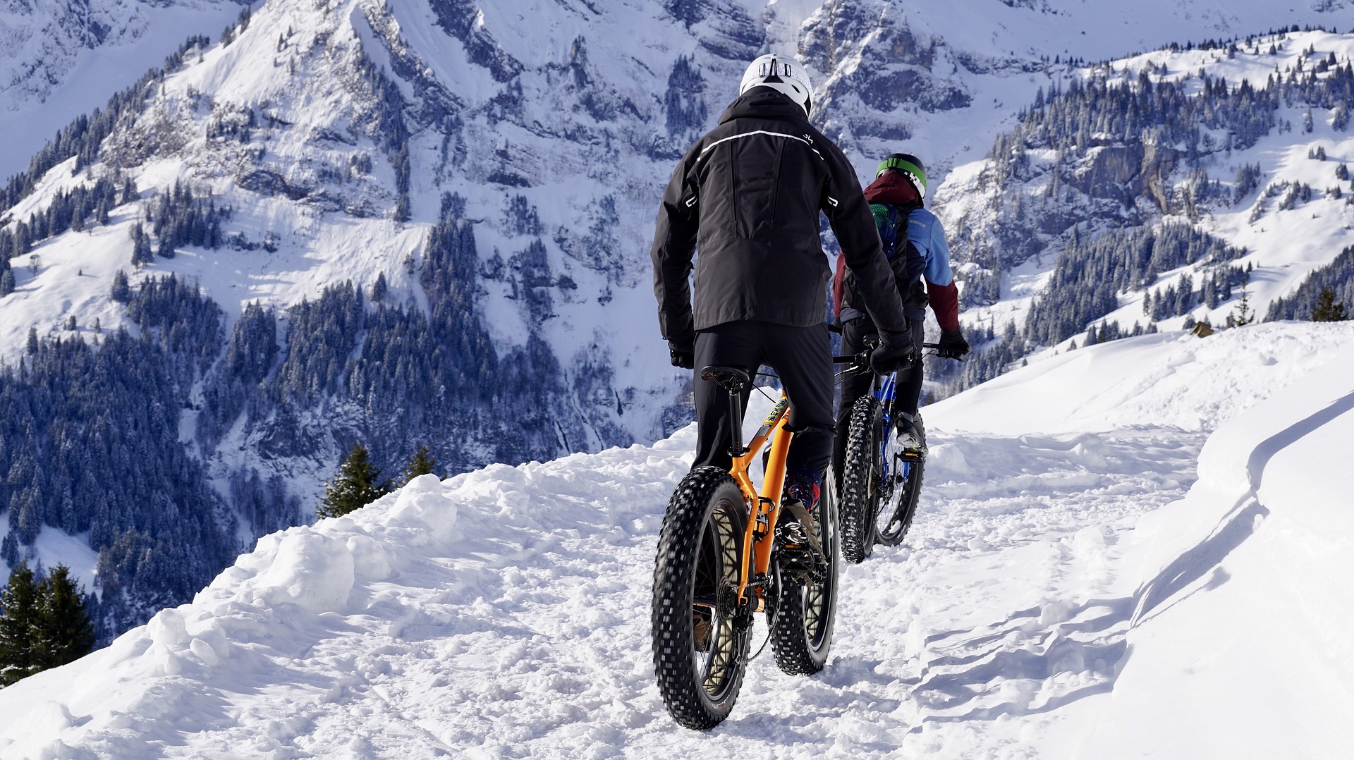 Les différents types de vélo de montagne