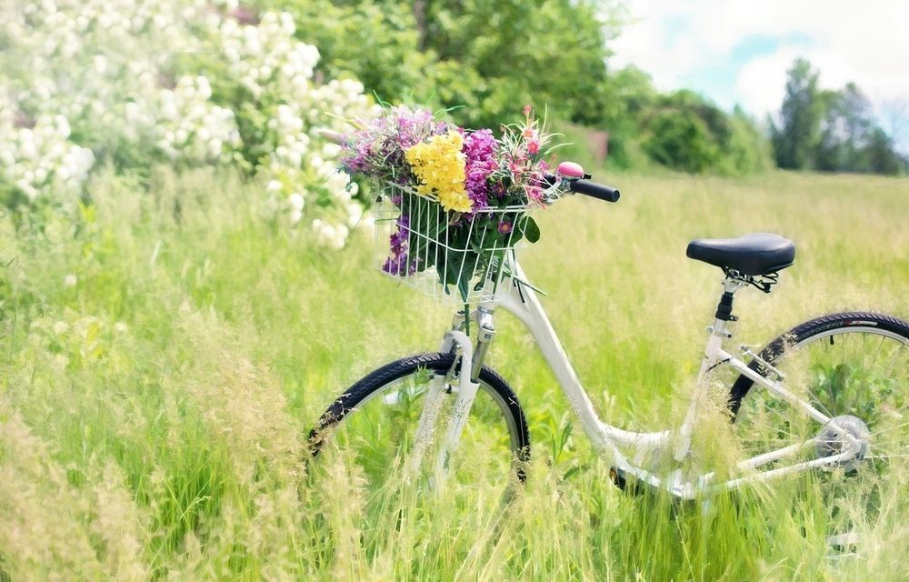 Découvrir la nature en bicyclette