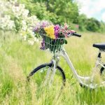Découvrir la nature en bicyclette