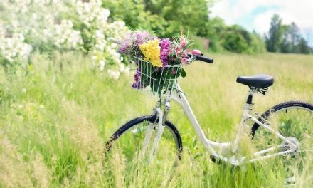 Découvrir la nature en bicyclette